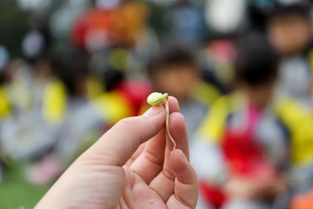 “我们”有一块地这就播种去丨天府新区元音小学劳动实践基地启动