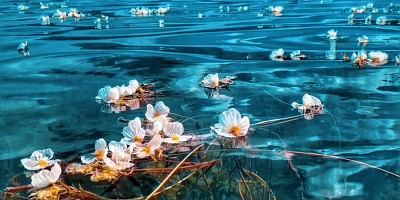 神奇的泸沽湖，独特的民族习俗，男不婚、女不嫁