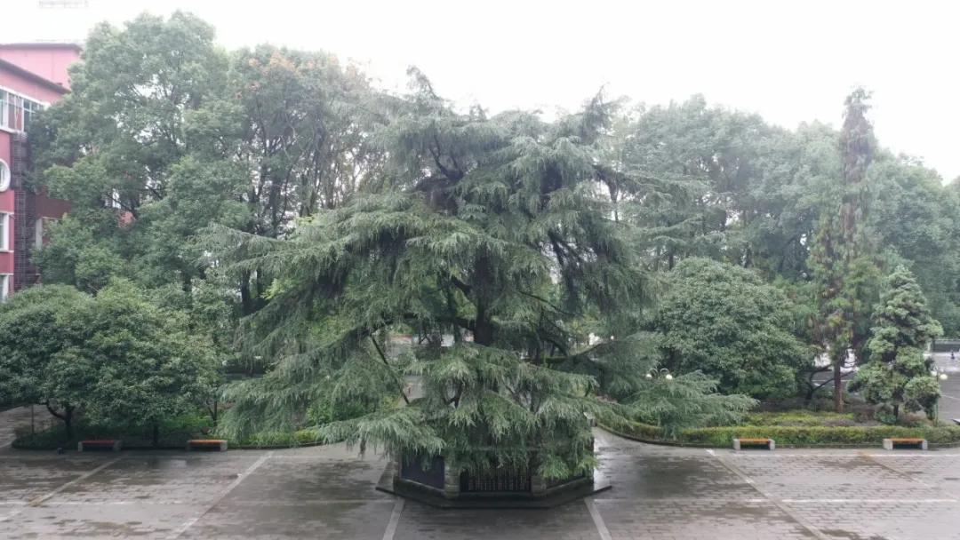 南山苍翠 二外荣光 重庆市作家进校园系列—重庆第二外国语学校