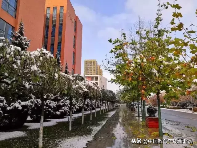 甘肃初雪|甘肃18所高校初学雪景大PK,快来看看有你的母校没?