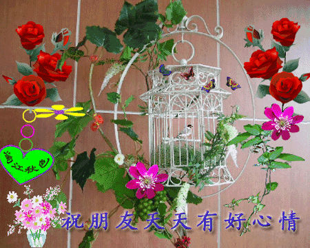 早安图片带字温馨图片 早上好动态图片带字图片