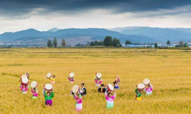 中国的朝鲜族是怎样的一种存在？