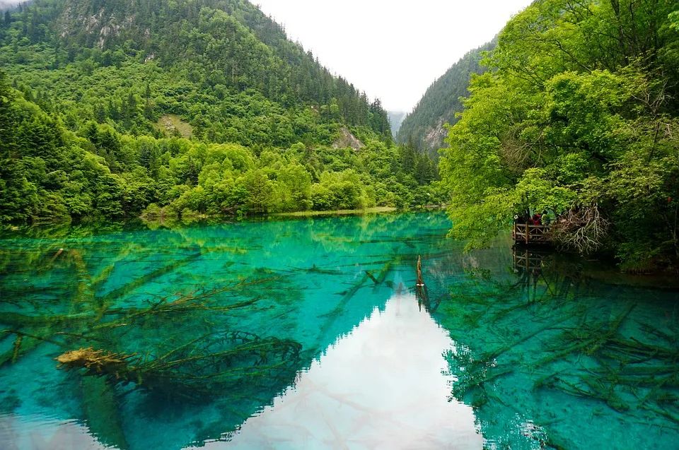 客流收入双减半，春节旅游复苏势头显现
