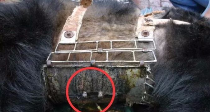 疫情未结束，另一场席卷70亿人的危机还在发生