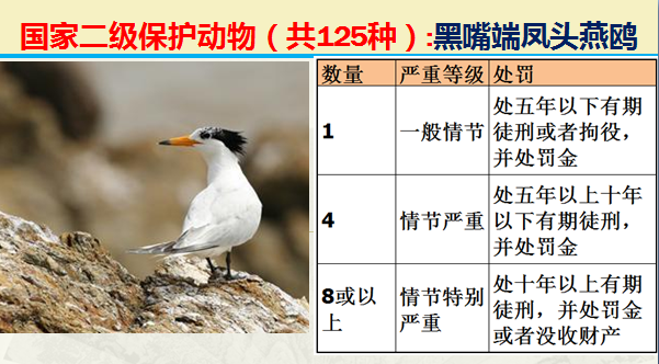 国家最新125类二级野生保护名录，图片及违法对应刑责