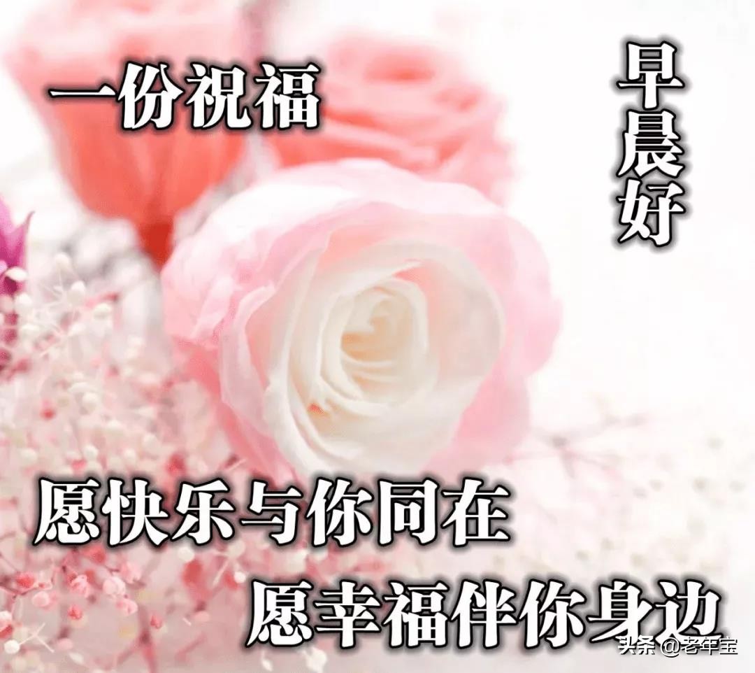 最新周一早上好表情图 周一早安暖心问候图片图片