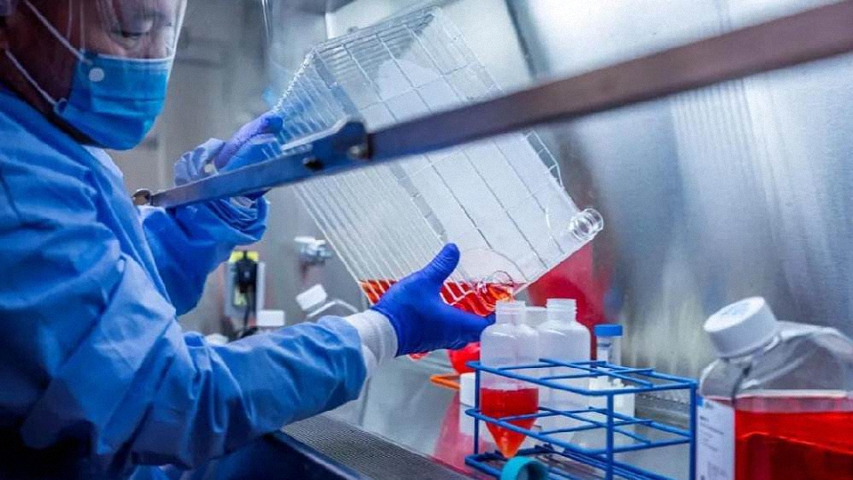 国际观察｜特朗普停药？已服用一周半，世卫组