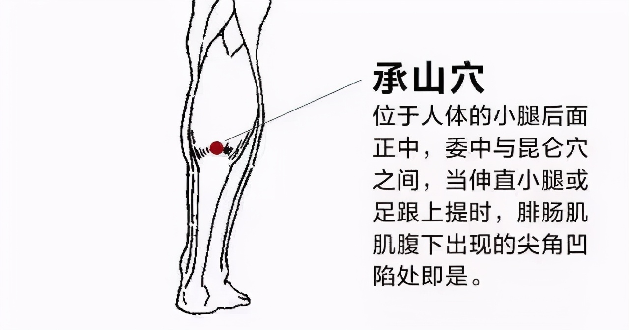 昨天小满，最适合祛湿清火、泄浊气、提高身体运作的能力-第3张图片-农百科