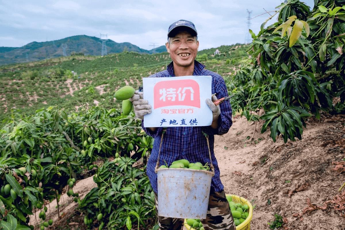 淘宝特价版大力卖食品生鲜，能否将农民收入搞上去？