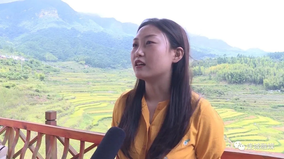 「全面推進鄉村振興」連城羅坊：千畝梯田美如畫 豐收在望谷滿倉