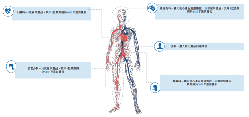 先瑞达医疗：新兴血管疾病治疗，国内**DCB治疗解决方案