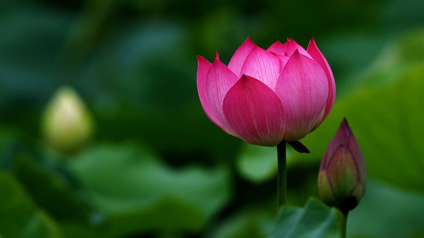 易經(jīng)：你的忍耐力越大，承載力越大，能成就的事也會越大