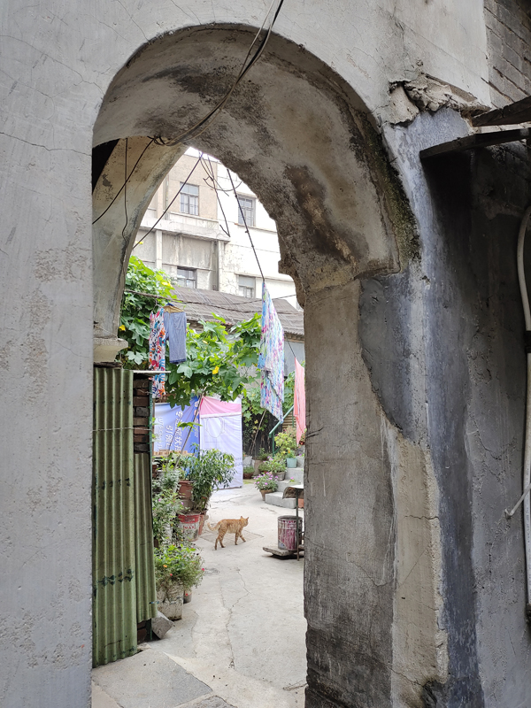 济南这个老城区坐落着多处民国时期老建筑，已有上百年历史