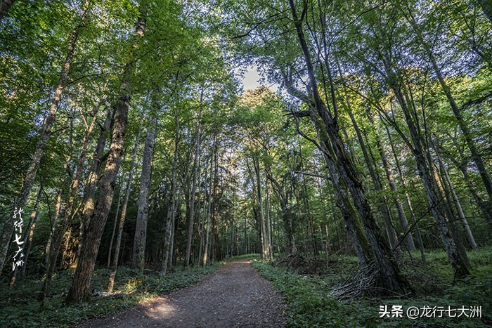 「波兰」波兰自驾，探寻边境地区的三处跨国世界遗产