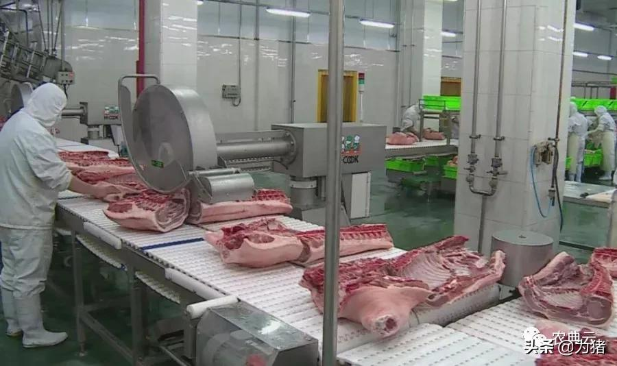 大变革！生猪禁调正式实施，对产销区未来猪价的影响有多大？