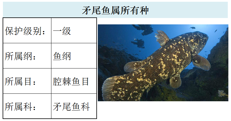 国家最新水生野生保护动物名录（共计三百余种），第2期