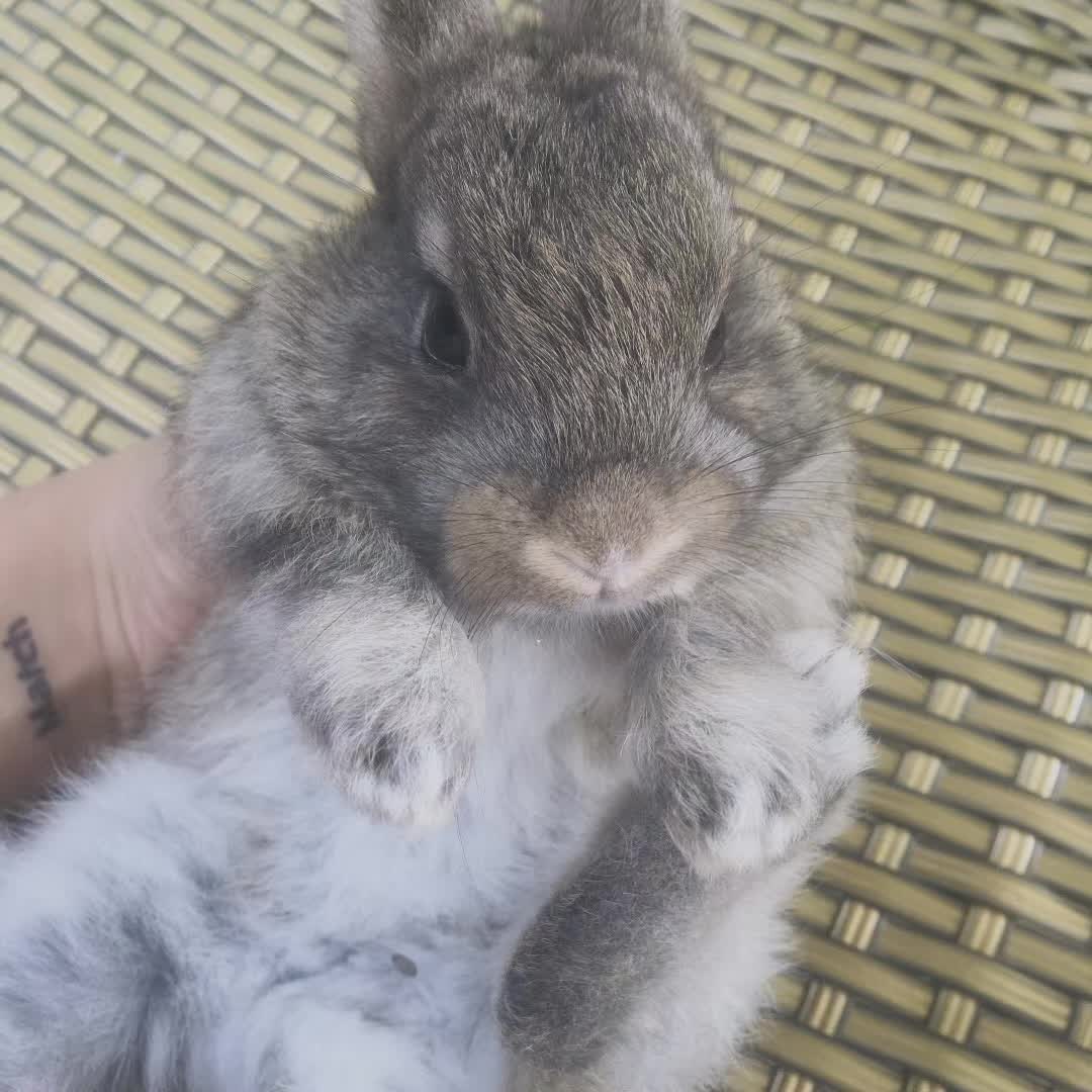 你因为什么而写作？