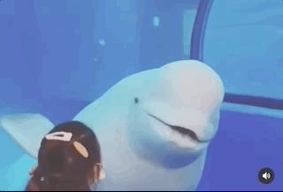 周杰倫曬妻兒牽手背影，被讚“吉祥三寶”，弟弟身高直逼姐姐