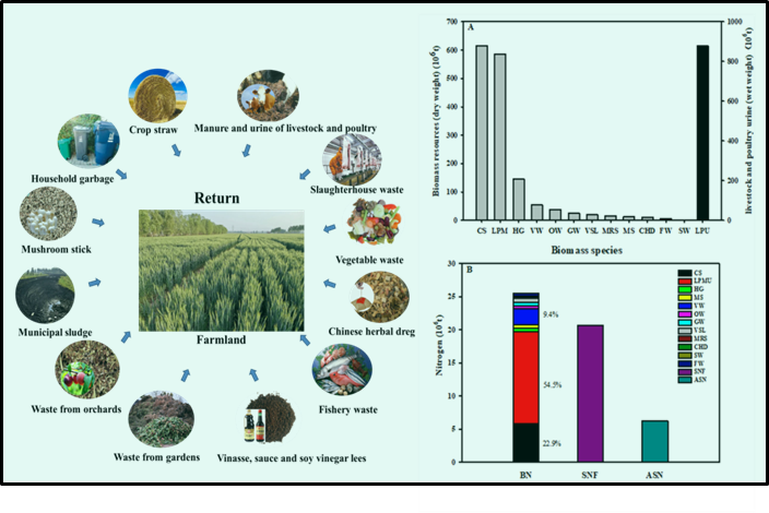 中国生物质总氮库及其替代化肥的潜力