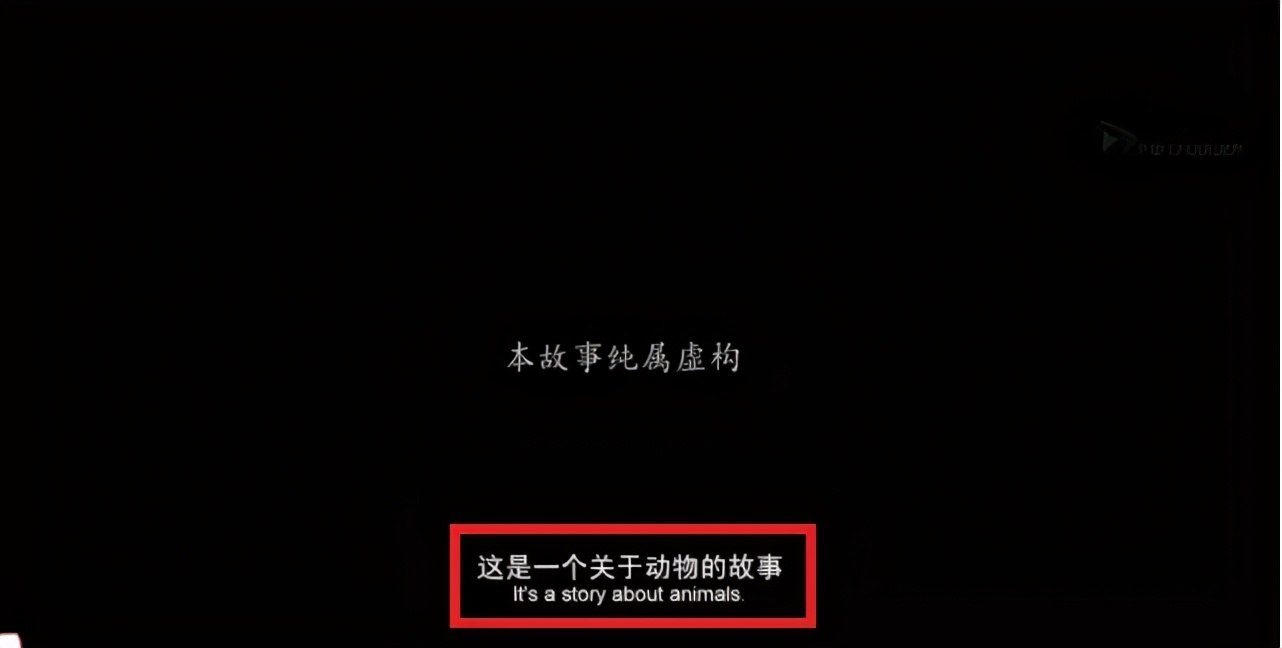 宁浩耗时四年的作品，原定主角是刘德华，电影中竟然没有一个好人