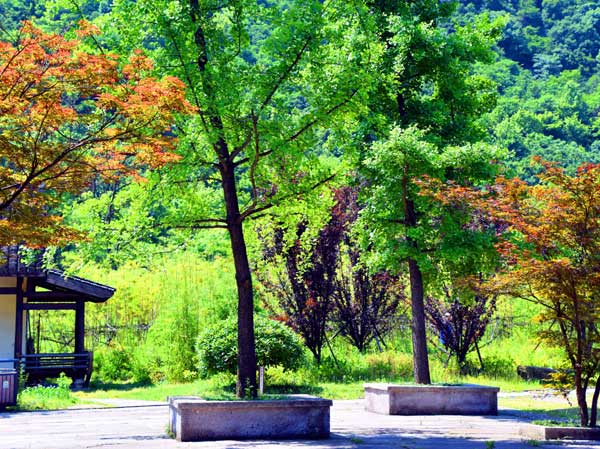 浙江旅游：绍兴兰亭书圣故里采风行（图）