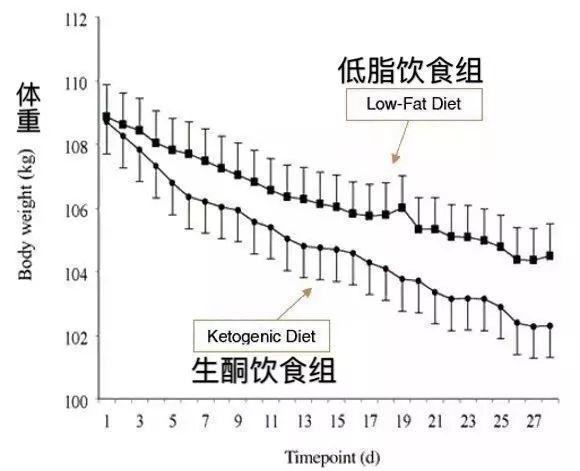 不吃主食减肥，为什么瘦的那么快？这10张图告诉你答案