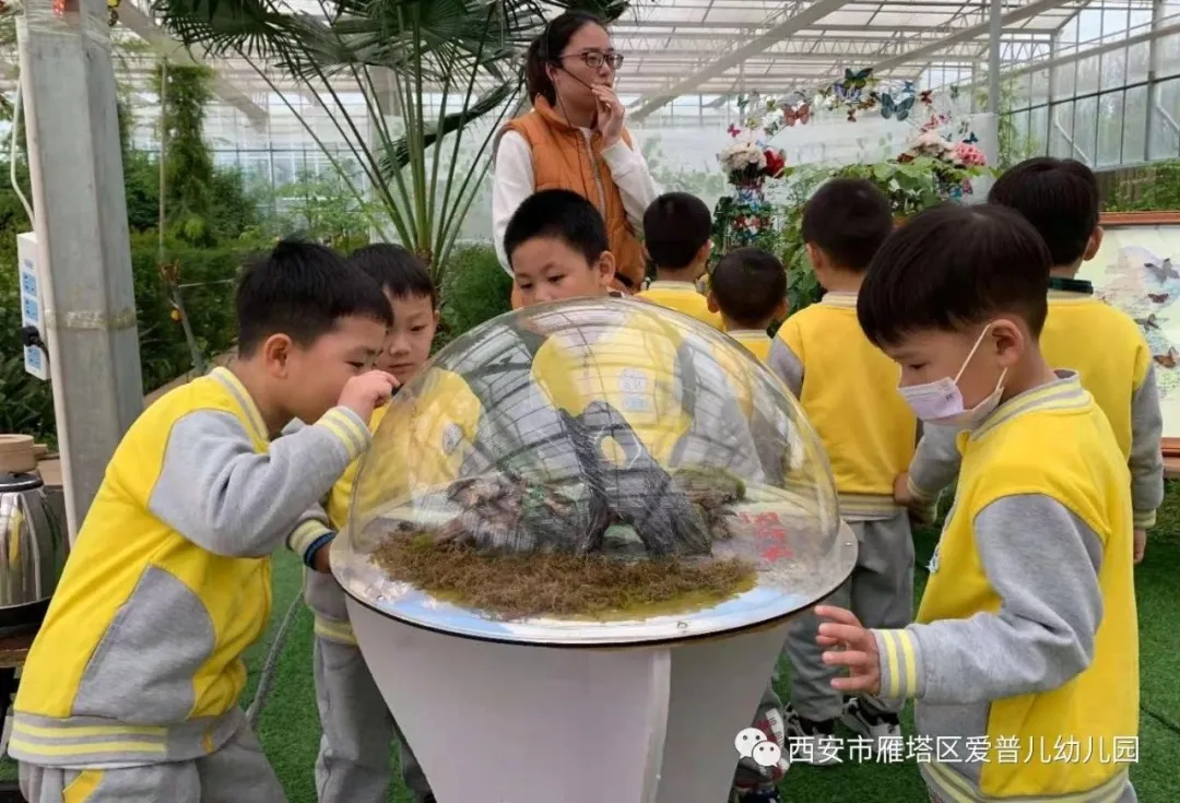 ����عˡ����ն��׶�԰�а�����ѧ��ʵ�߽���δ��