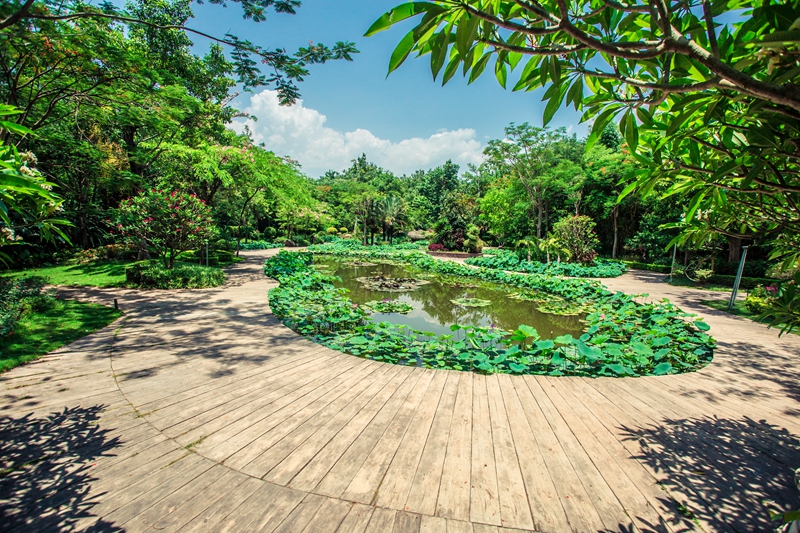 云南康旅集团成立 只是万亿级康旅长征路上的第一步