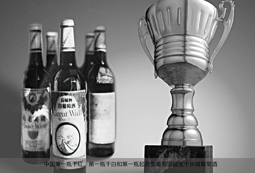 中国粮食行业的巨无霸——中粮集团