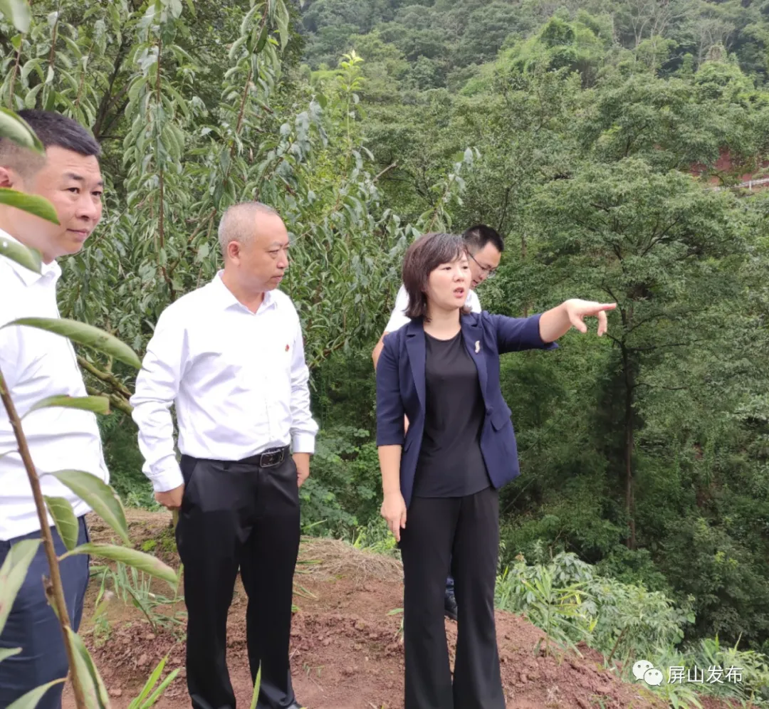 8月30日,县委副书记,县长赵丹率县级有关部门到书楼镇督查"三条底线"