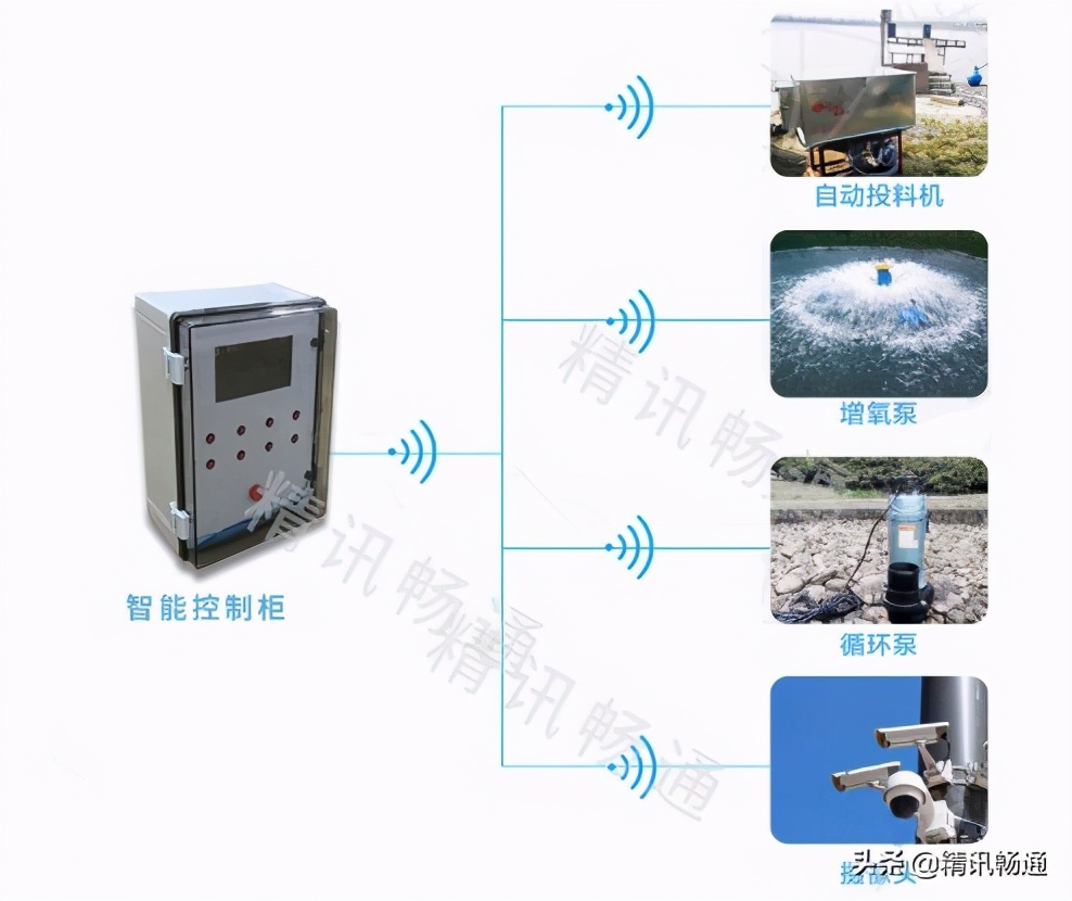 智慧水产养殖解决方案