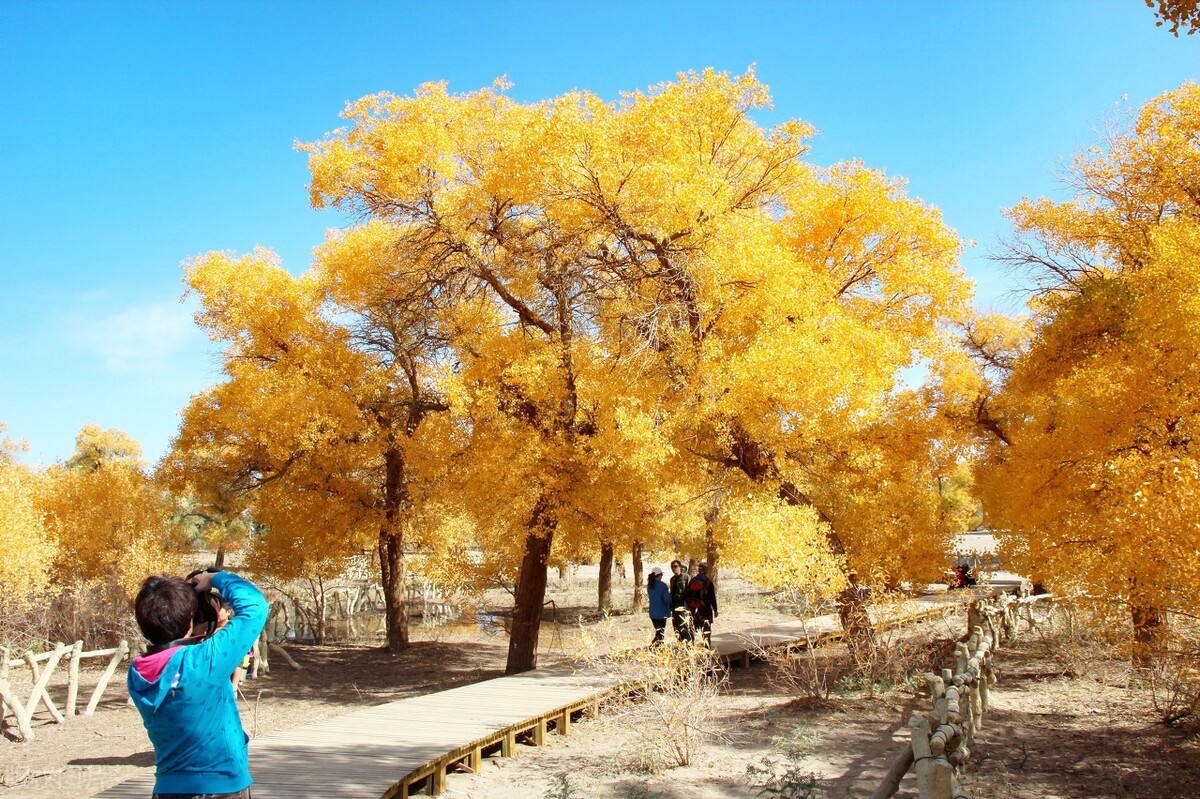 九、十月份去哪玩？推薦8個值得打卡的國內旅行地，你最想去哪個