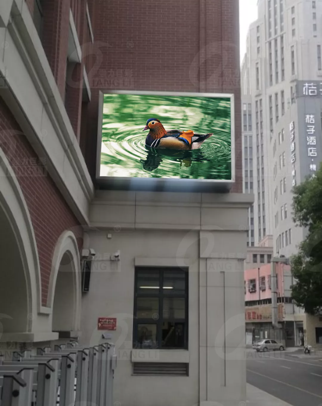 距离产生美？不！户外小间距近看也很美