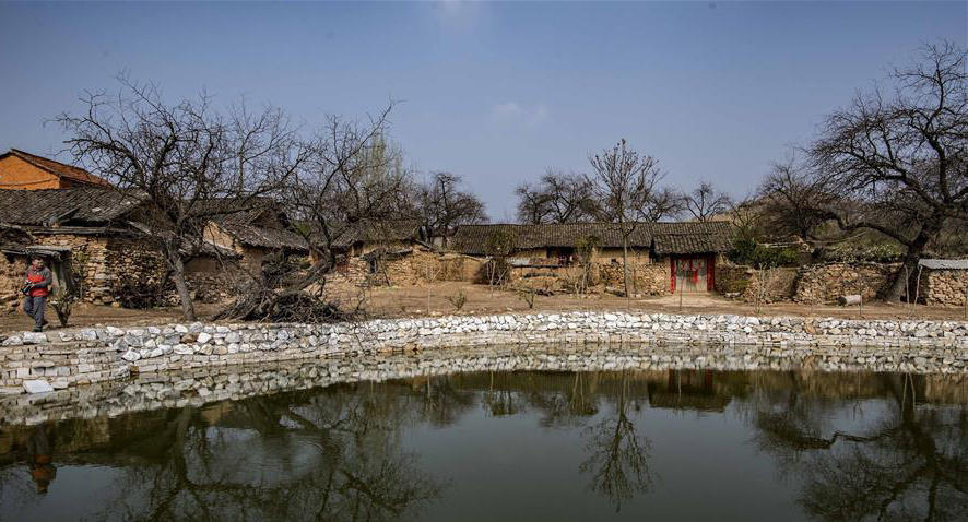 随县唐县镇华宝山村枣儿甜
