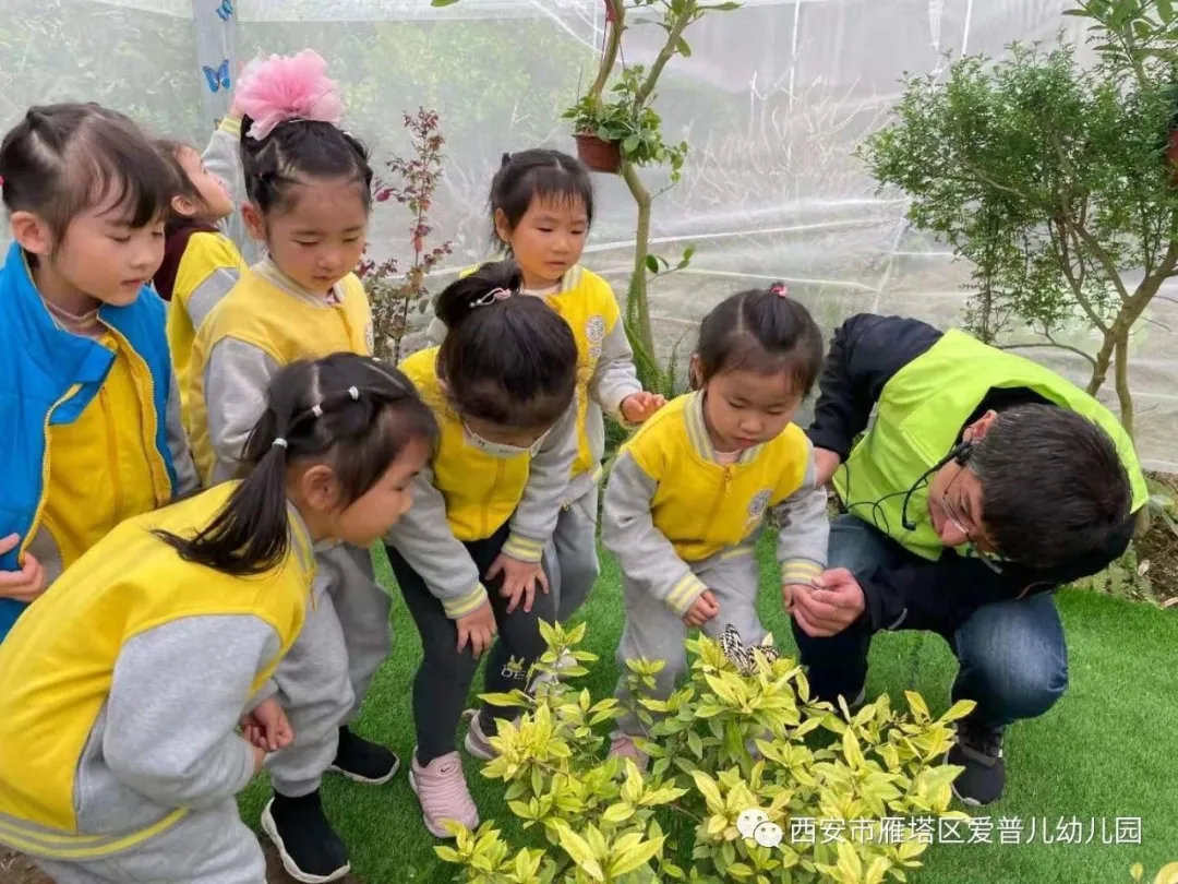 ����عˡ����ն��׶�԰�а�����ѧ��ʵ�߽���δ��