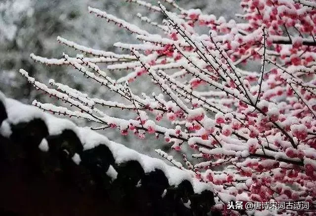 又是一年飘雪时，细数带有“雪”字的66句古诗词！-第3张图片-诗句网