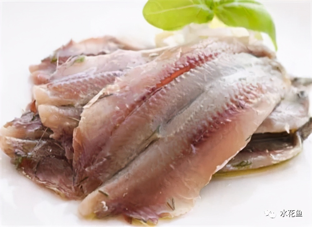 鱼肉的蛋白质与鱼肉呈味成分——“鱼与熊掌”把鱼列为鲜味之首