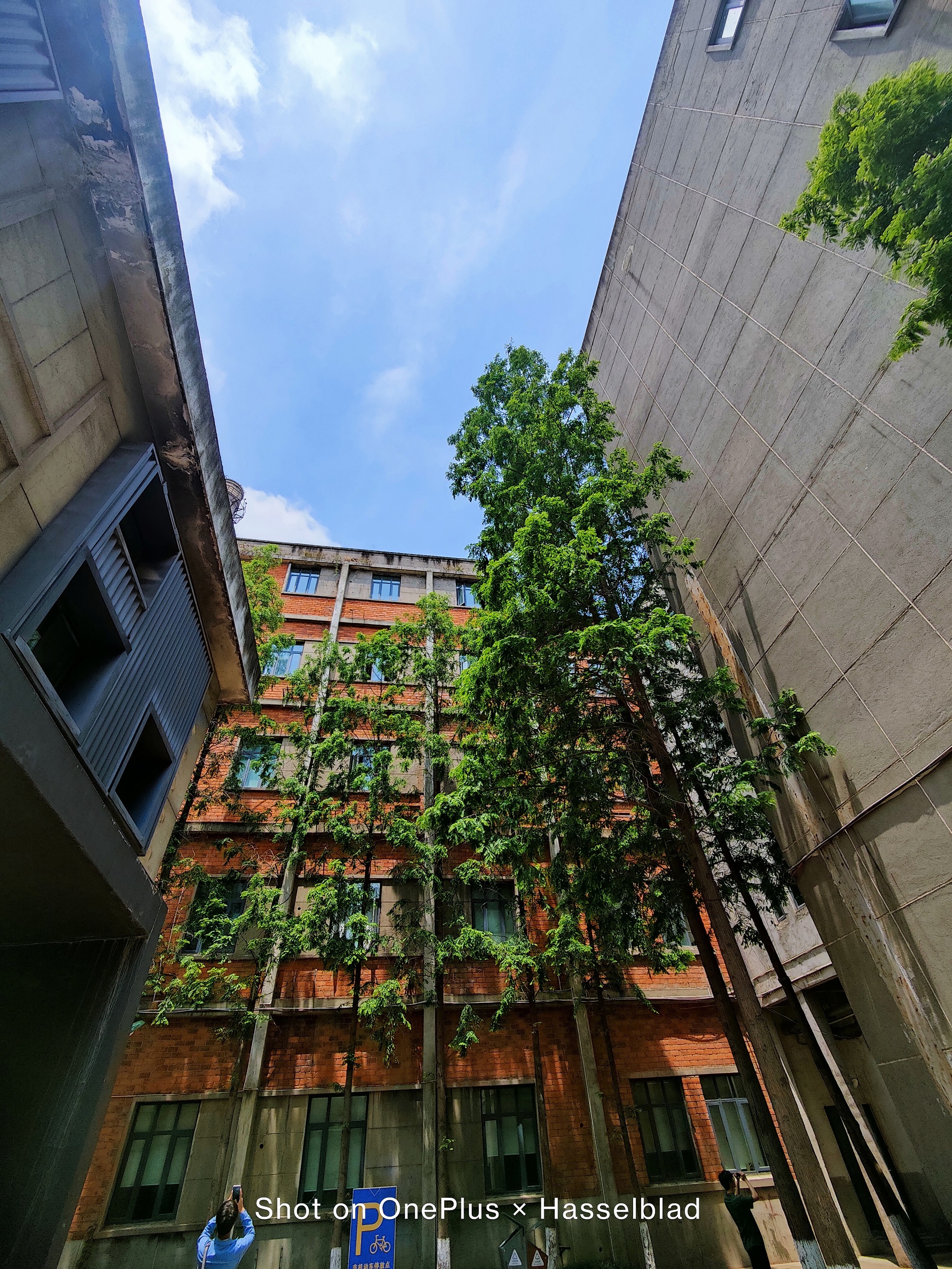 迟来的惊喜：“影像机皇”一加9，半月体验实测报告