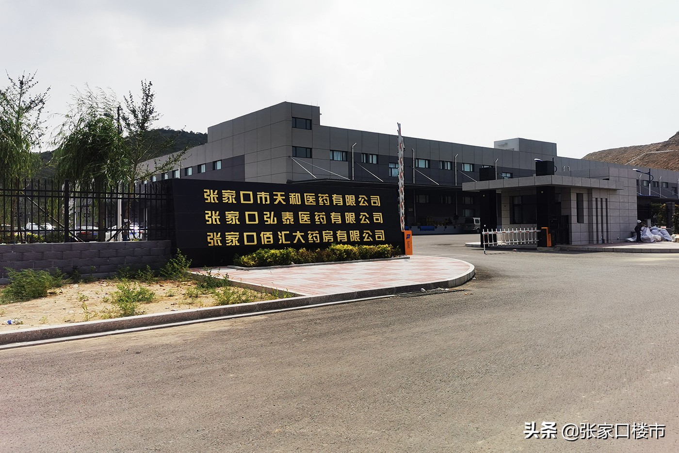 医药公司、新大厦、外企项目…老城区万亩新兴产业园新进展实探
