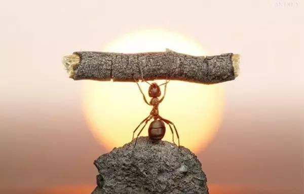 全国靠自媒体生活的超过两亿，这是企业招不到人的原因，比打工强