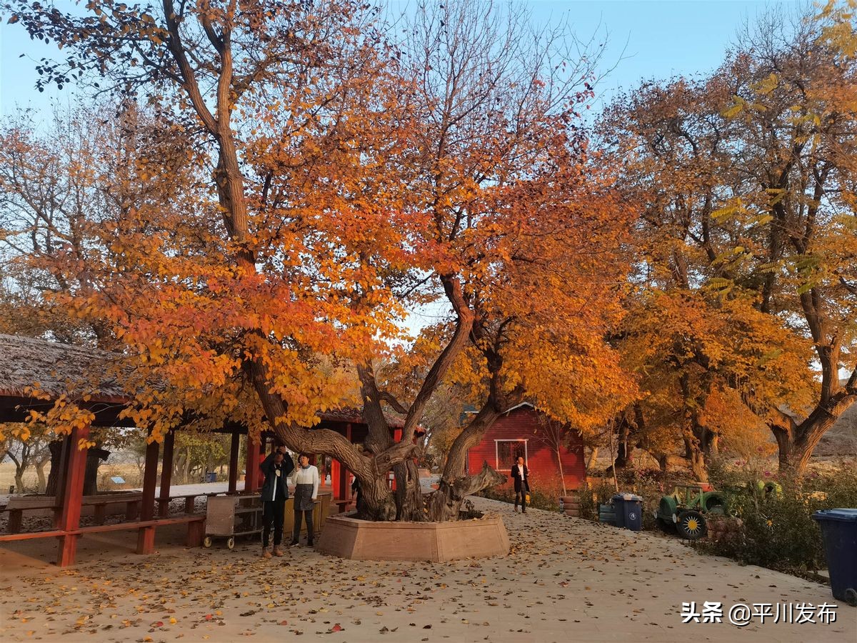 谁不说咱美【系列二】