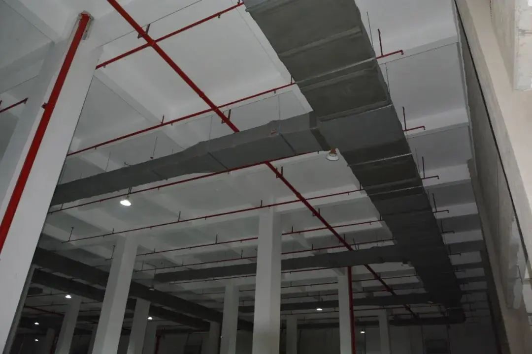 前景可期！肇庆生物医药产业驶上发展“快车道”