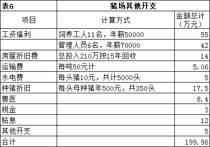 其他开支