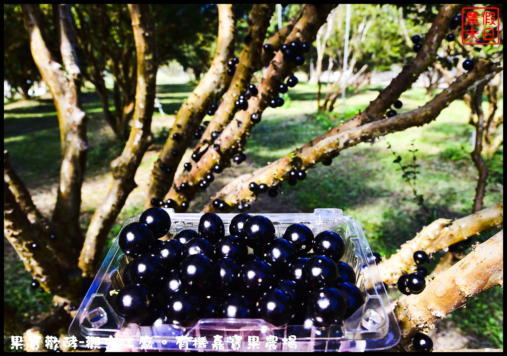 果宝欢酵观光工厂：用丰富体验呈现酵素背后的秘密