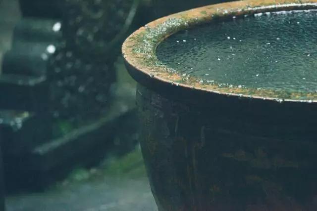 五九尽处又逢春，在西递，邂逅故乡里的烟雨