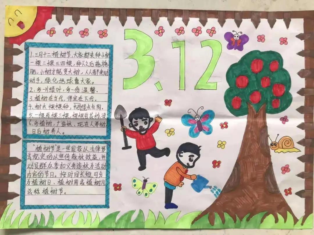 ��֮��.ֲ�̻���--�����еھ�Сѧֲ���ڻ��Ӱ