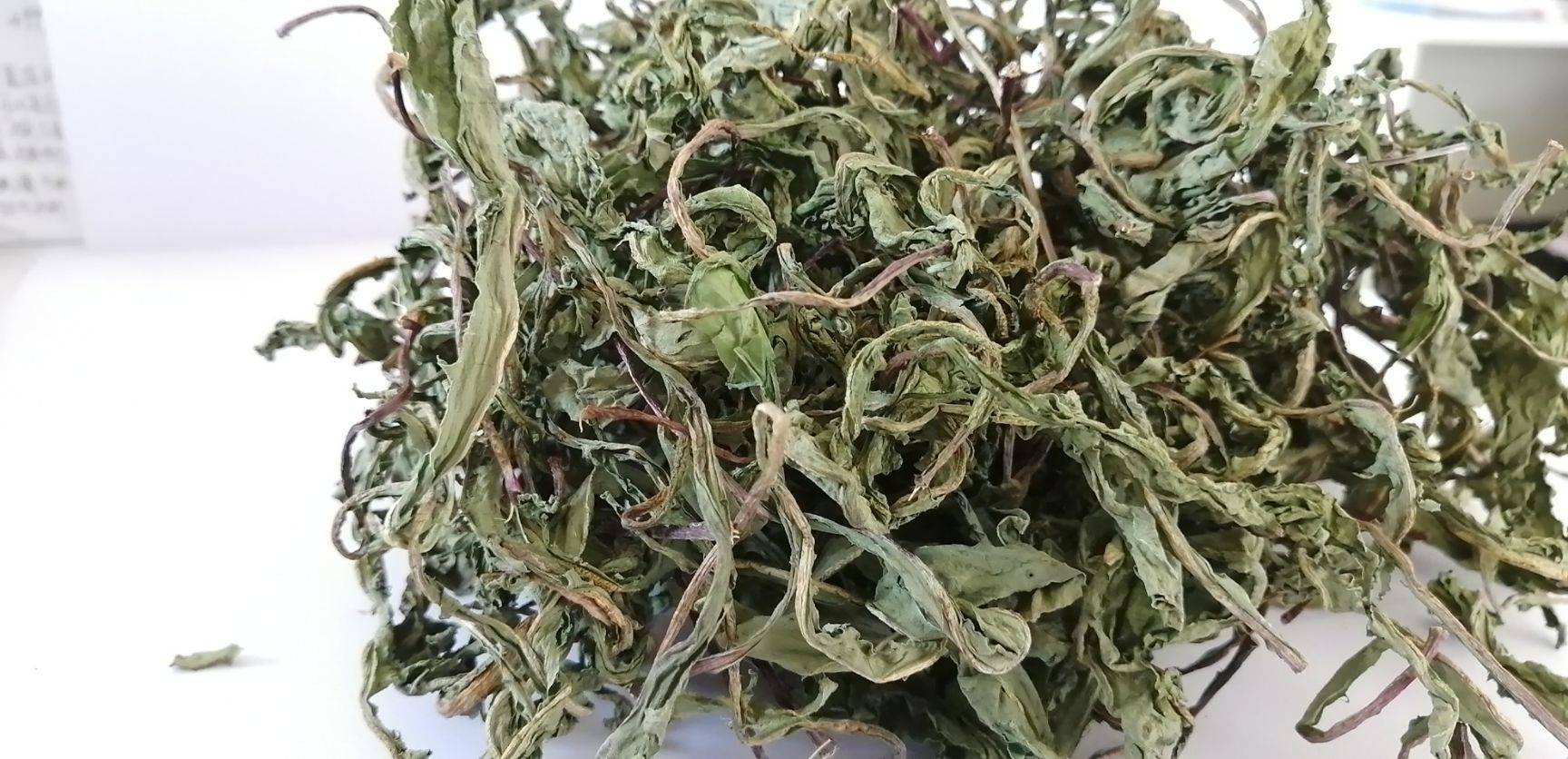 女性常吃这3种食物，不仅能清热解毒，去湿散寒，还能预防妇科病