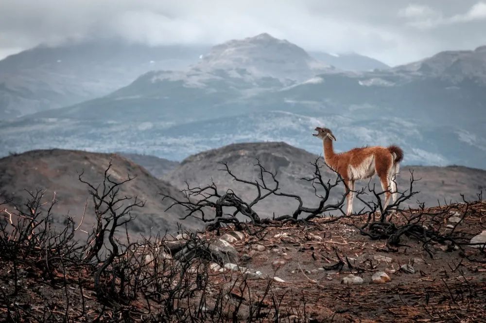 分不清是現實還是虛幻：45張攝影作品，捕捉大自然的神秘