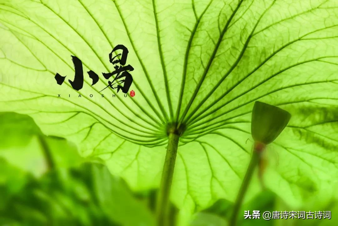 小暑节气，赏析白居易的《消暑》-第3张图片-诗句网