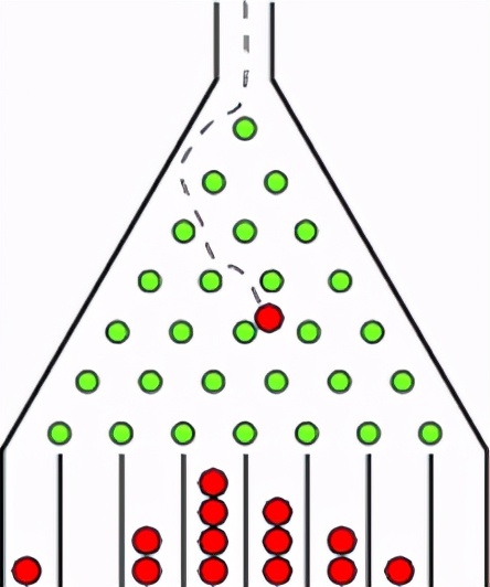 实现光量子计算优越性，科学家将工作献给抗击新冠的中国人民